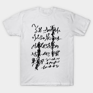 d-scribe: hyerograph B 2° T-Shirt